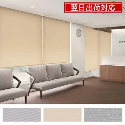 翌日出荷防炎ロールスクリーンのサムネイル画像