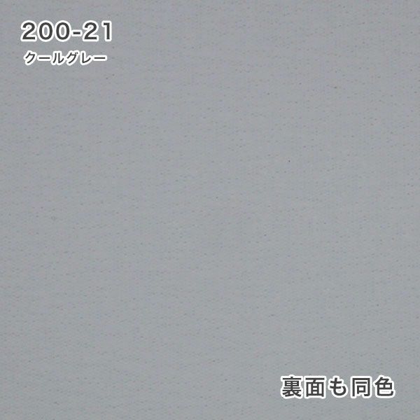 防炎遮光ロールスクリーンの200-21（クールグレー）
